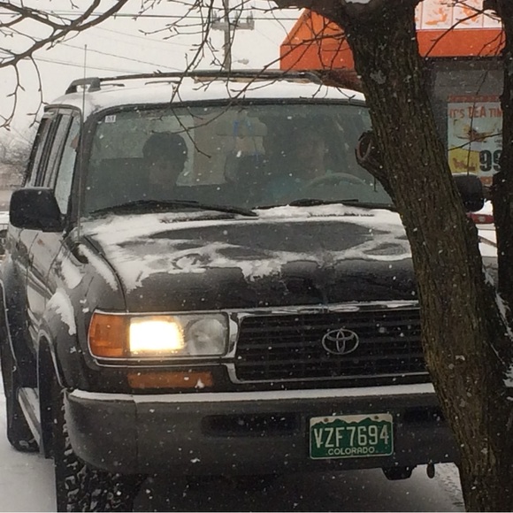 Meet your Posher, Fletcher - Picture 1 of 1